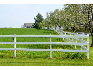Property photo 104 - REAL ESTATE & PERSONAL PROPERTY AUCTION - 23.5+/- ACRES OFFERED IN 3 TRACTS OR COMBINATIONS IN EAST ALLEN COUNTY